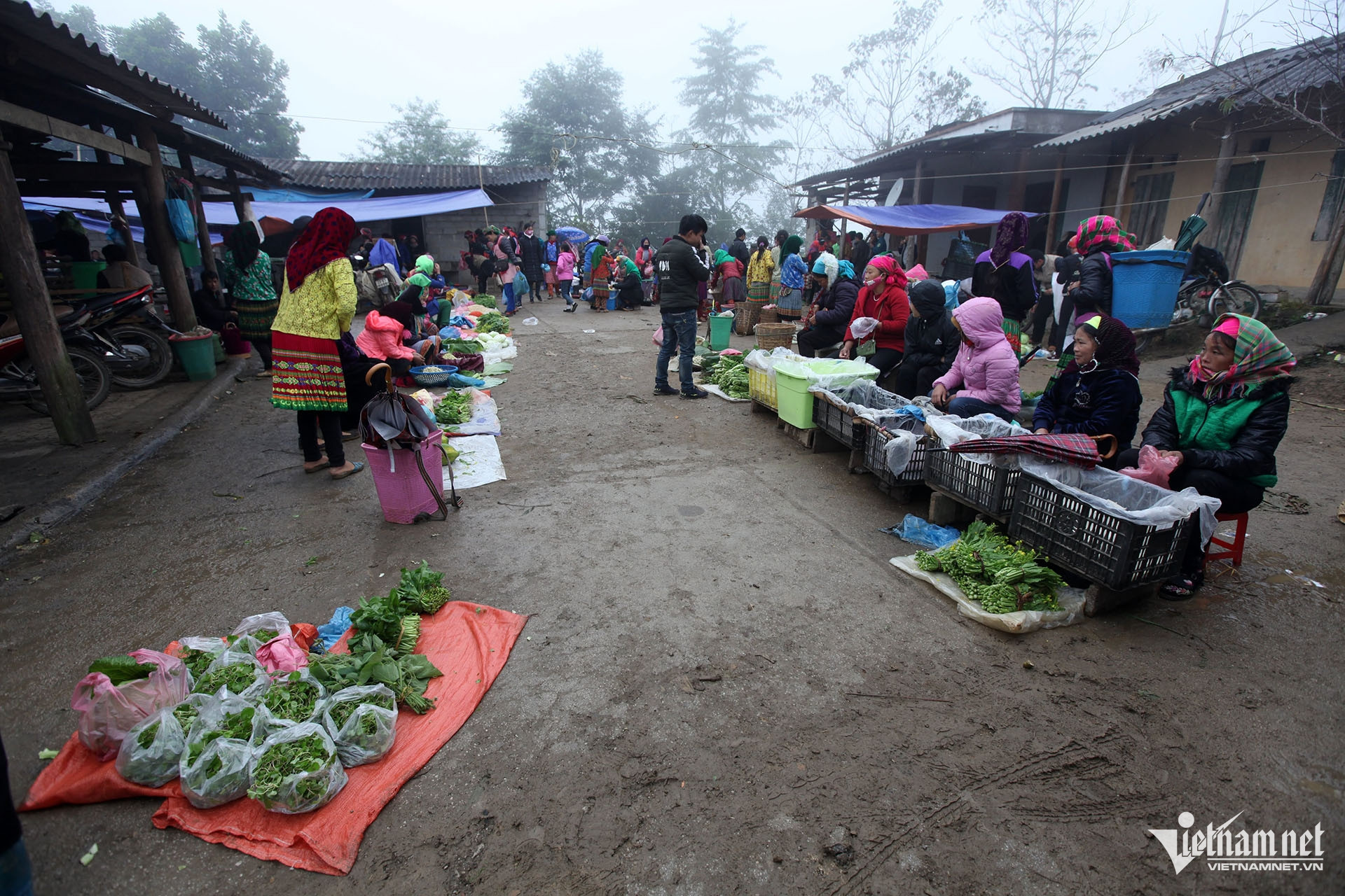 W-giam ngheo mien nui.jpg