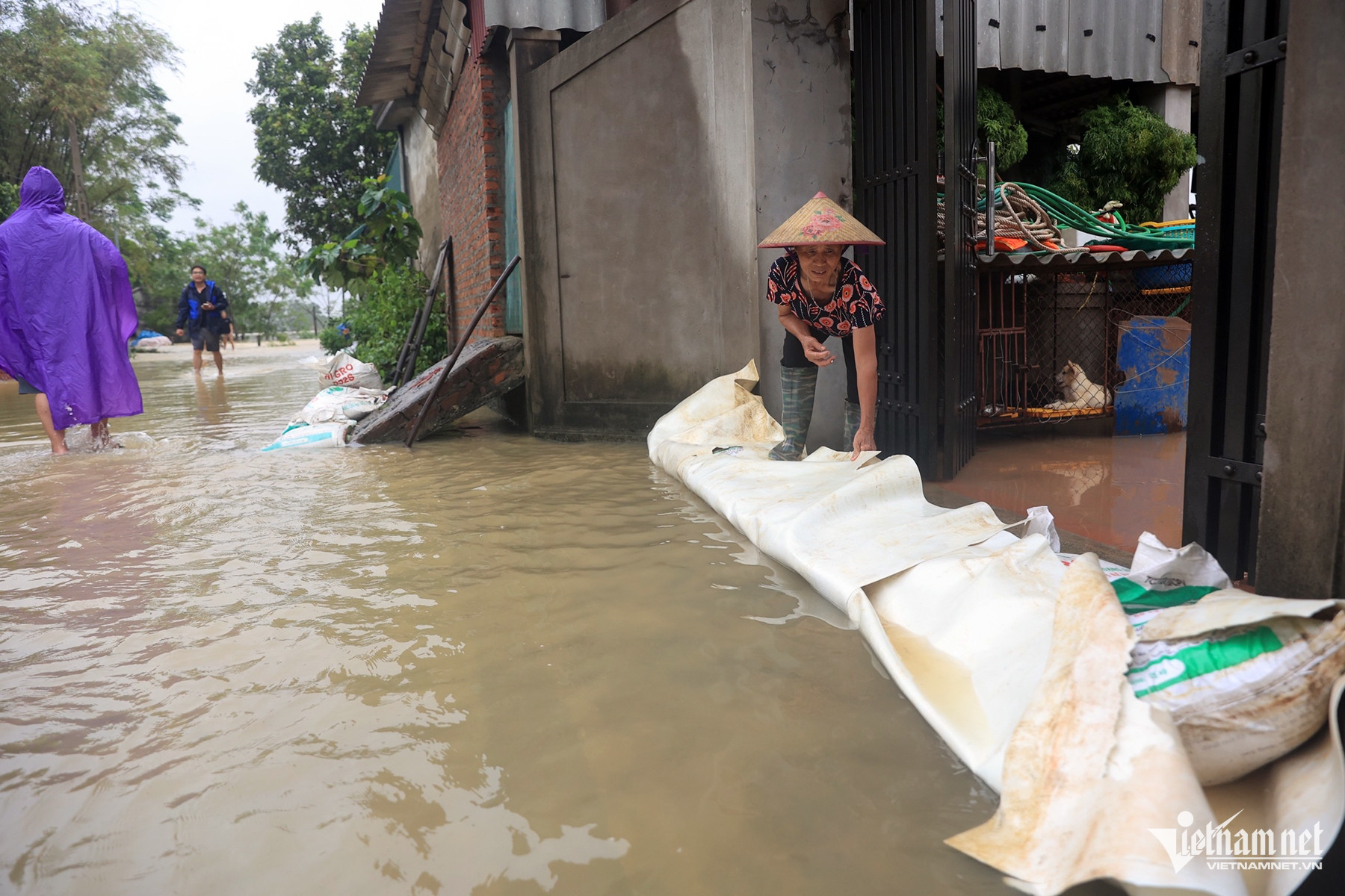 W-nam phung tien 12.jpg