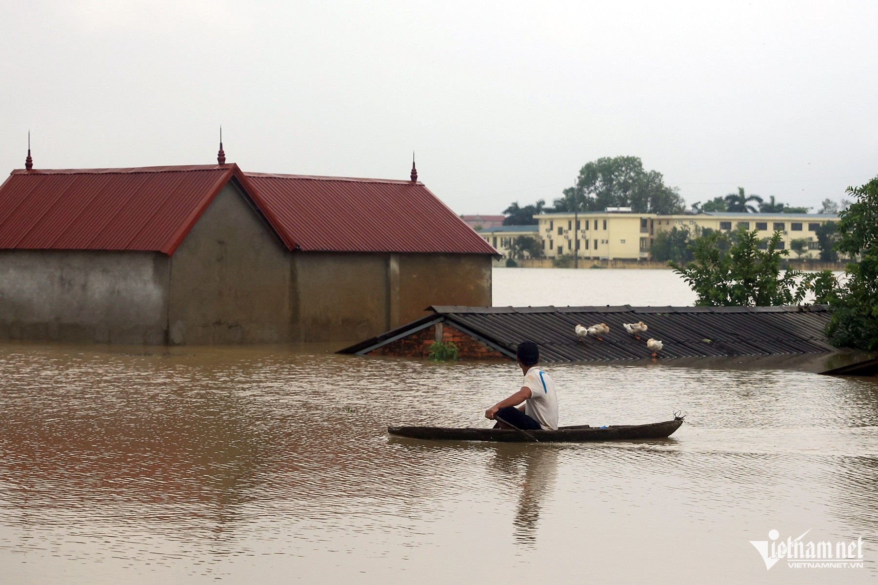 W-nam phuong tien 178.jpg