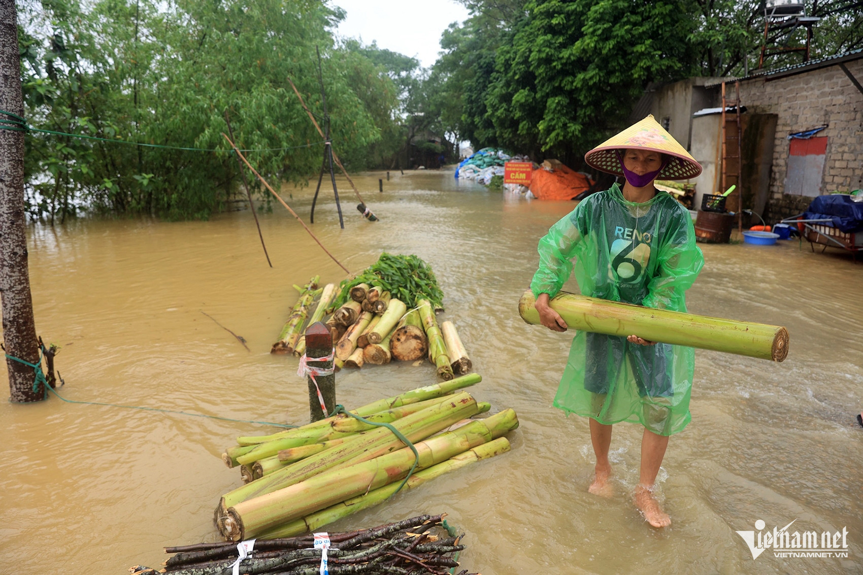 W-nam phuong tien 9.jpg