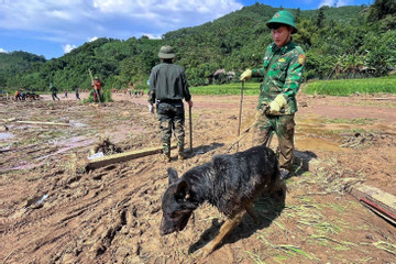 'Đội tìm kiếm' đặc biệt giúp phát hiện ra 2 điểm có nạn nhân vùi lấp ở Làng Nủ