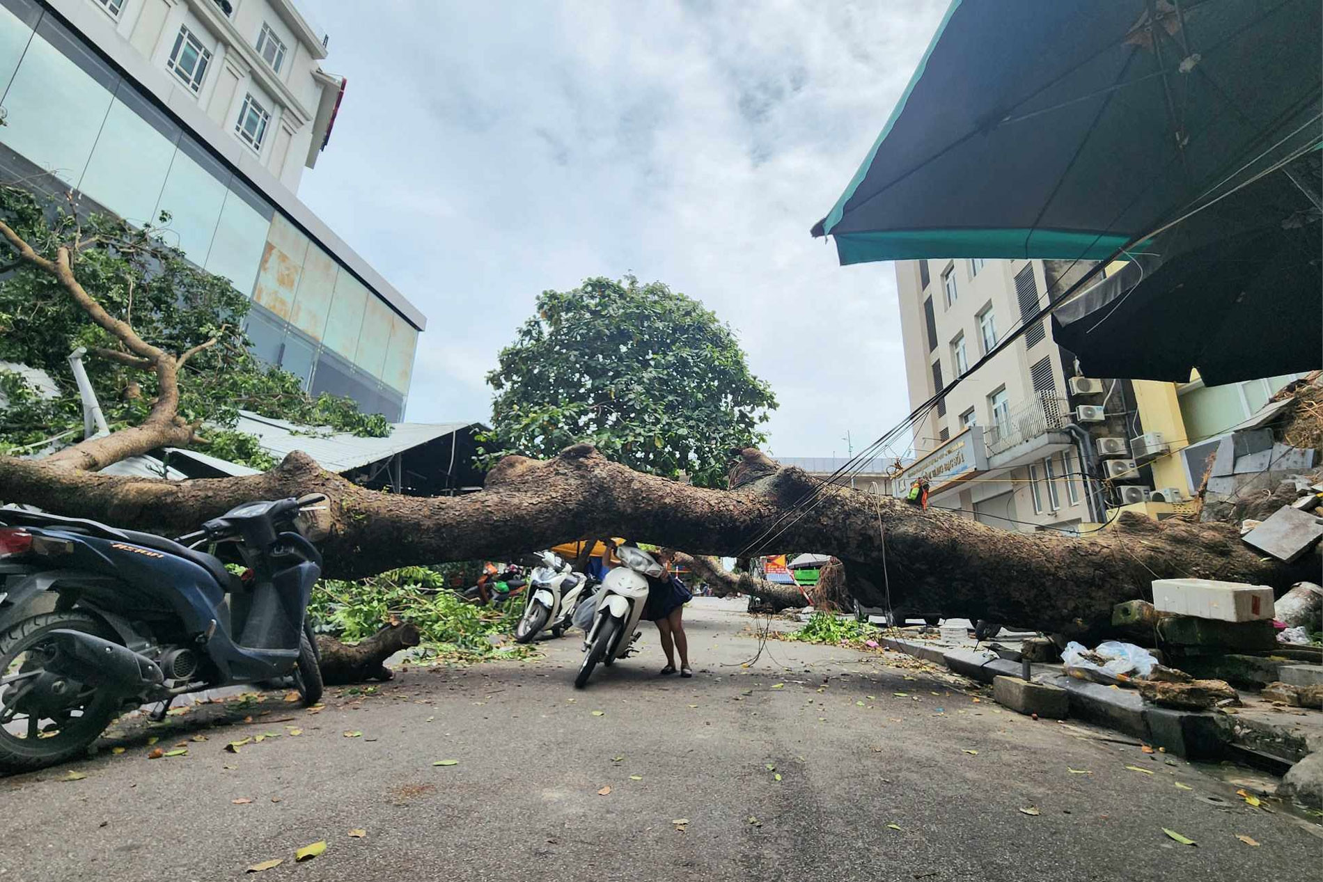 Gần một tuần sau bão Yagi, đường phố Hà Nội vẫn ngổn ngang cây đổ