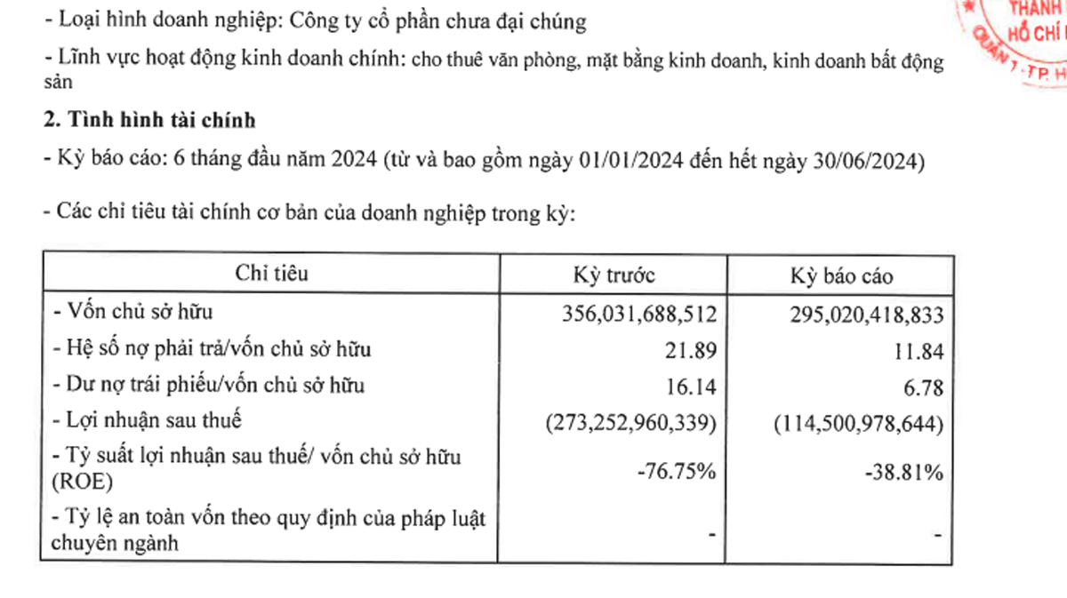 Setra2024H1 kqkd HNX.gif