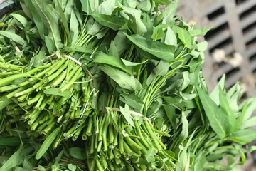 3 lưu ý khi bảo quản thực phẩm trong mùa bão lũ