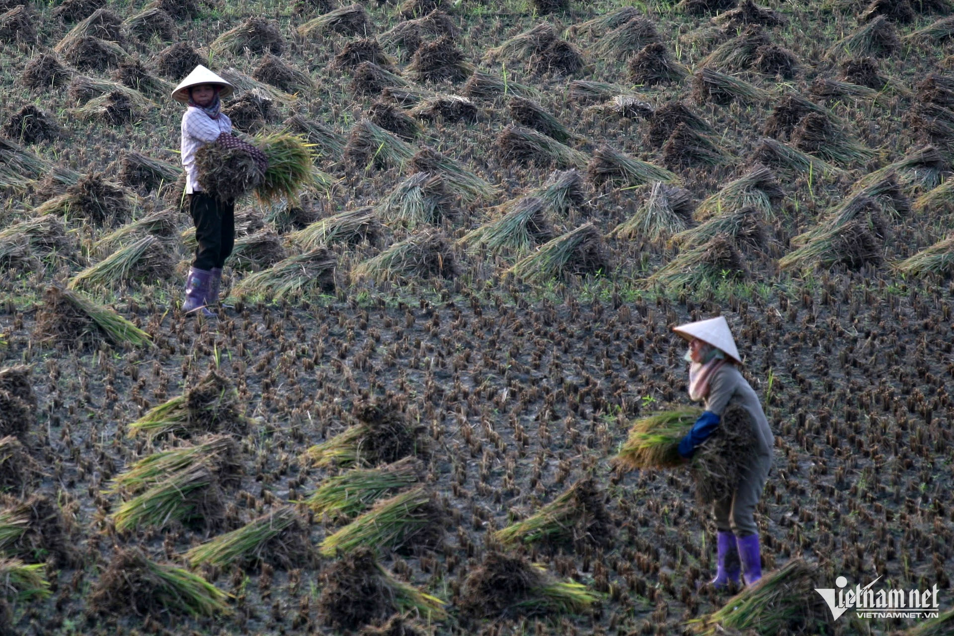 W-yen bai dan toc mien nui giam ngheo.jpg