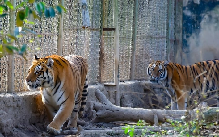 9952adcf 809e 42b9 aedc b7d76de138c8.jpeg