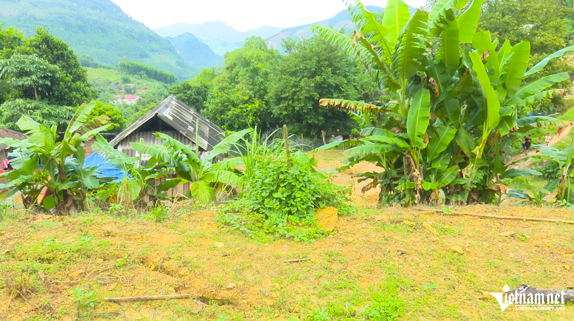 W-Đồng hỷ.JPG.jpg