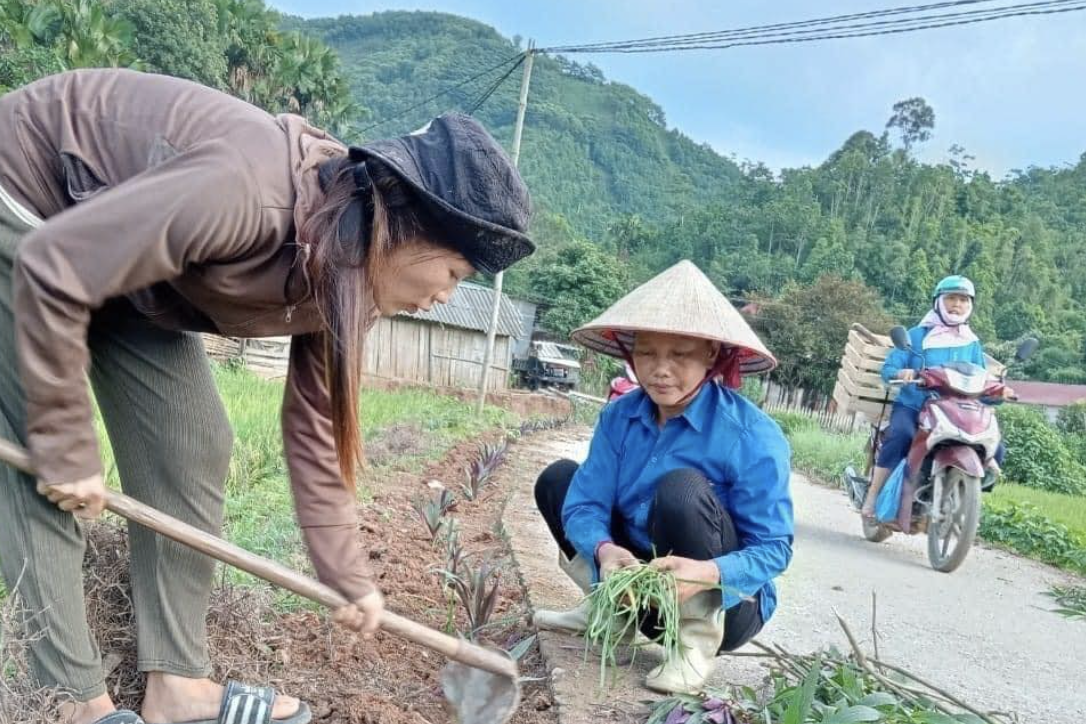 Kim Sơn nâng cao chất lượng tiêu chí môi trường và an toàn thực phẩm