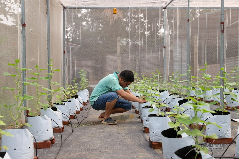 Vạn Bình quyết tâm về đích nông thôn mới nâng cao cuối năm 2024