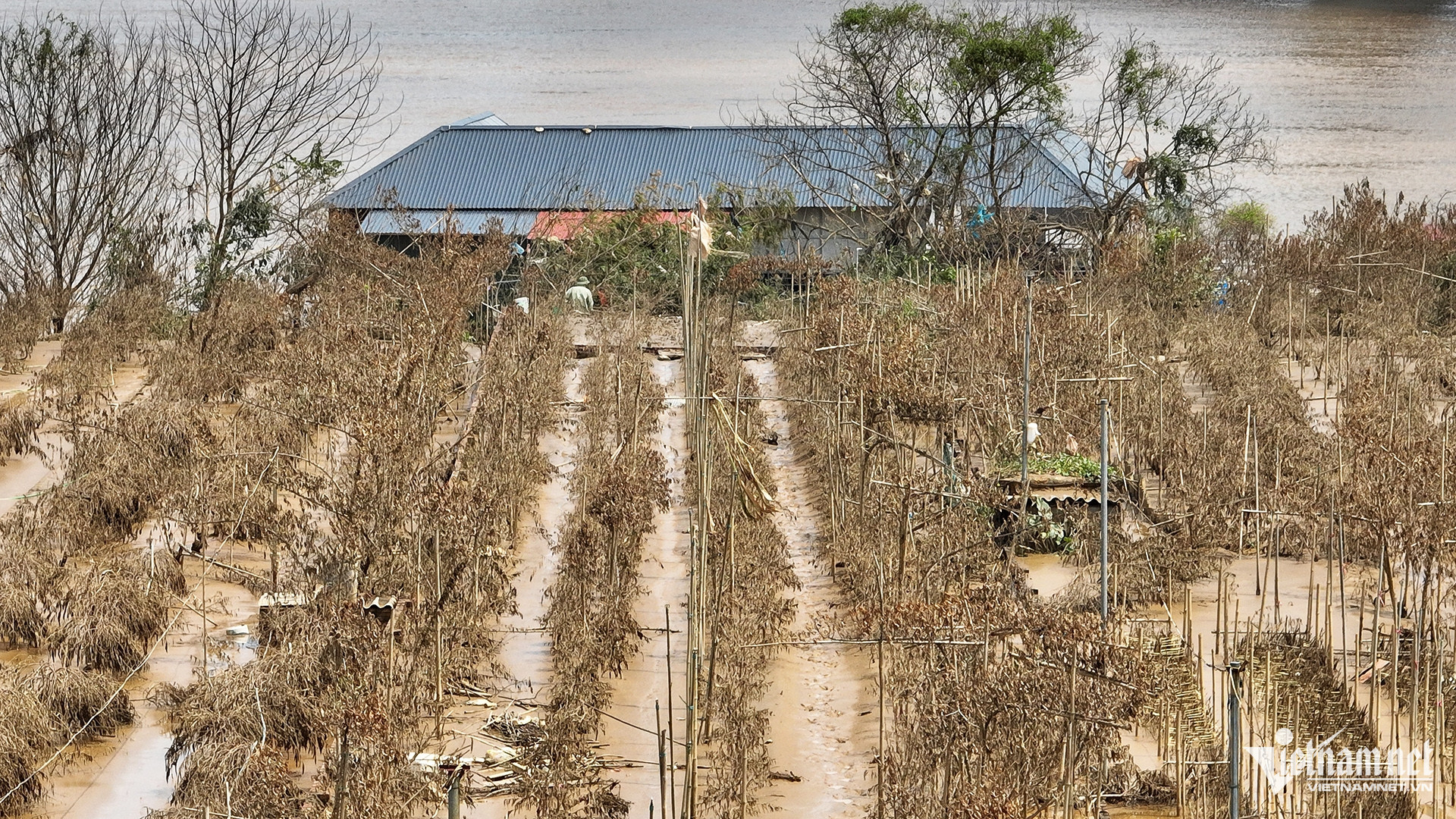 W-lang dao_8.jpg
