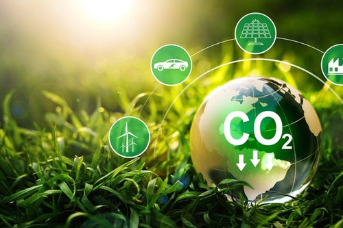 Việt Nam có nên đánh thuế carbon?