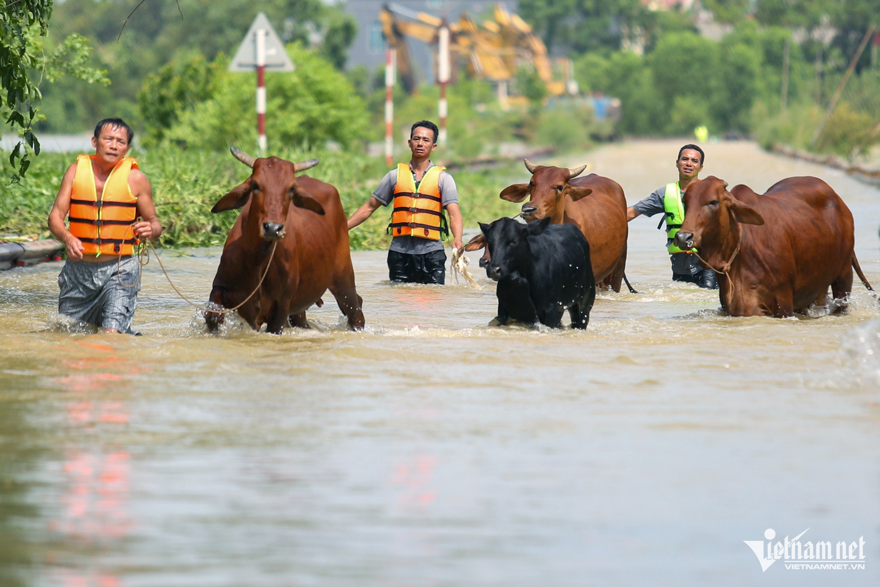 w mua ngap soc son 46 1357.jpg