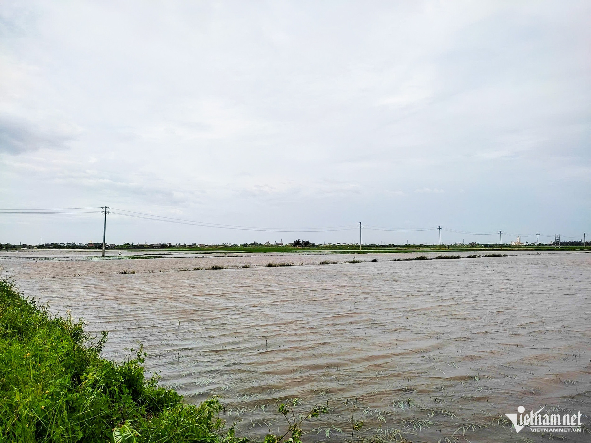 w nam dinh 4 1147.jpg