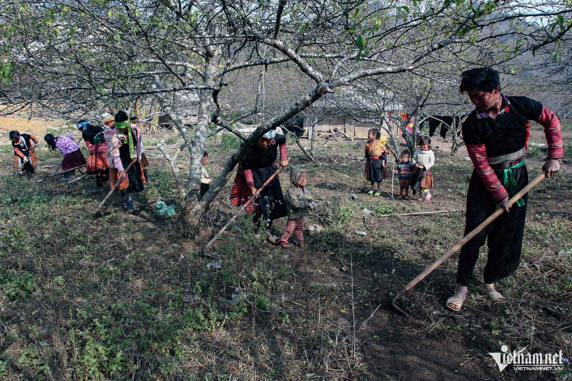 W-giam ngheo dan toc.jpg