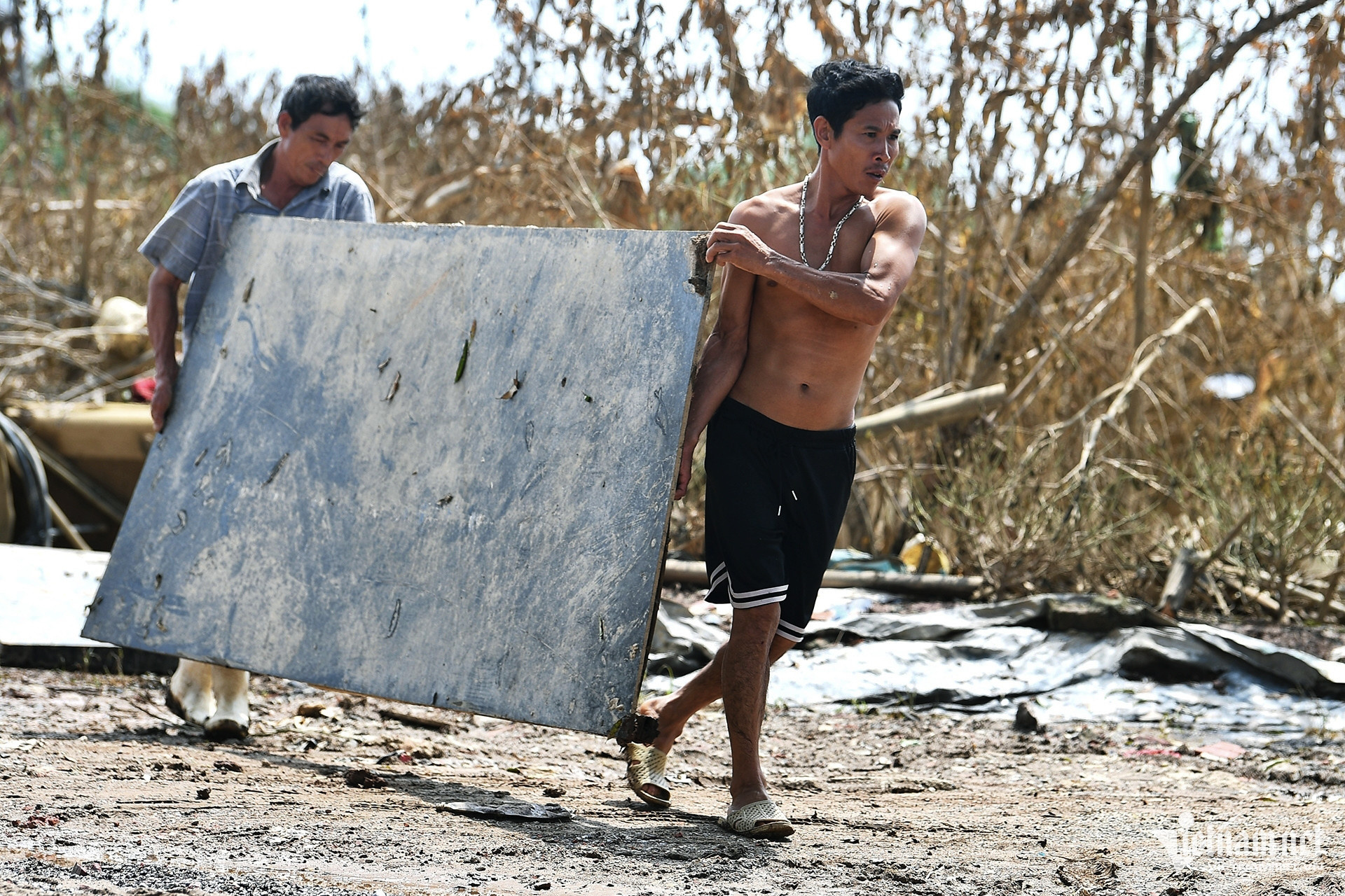 w lang dao 16 2475.jpg