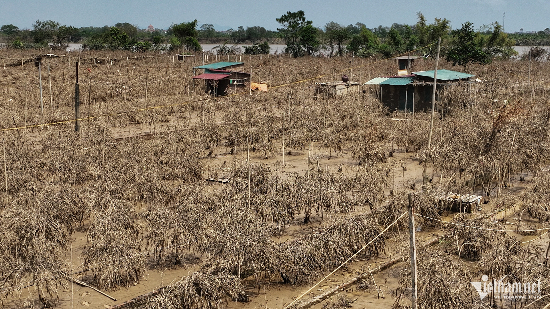 w lang dao 2 2464.jpg