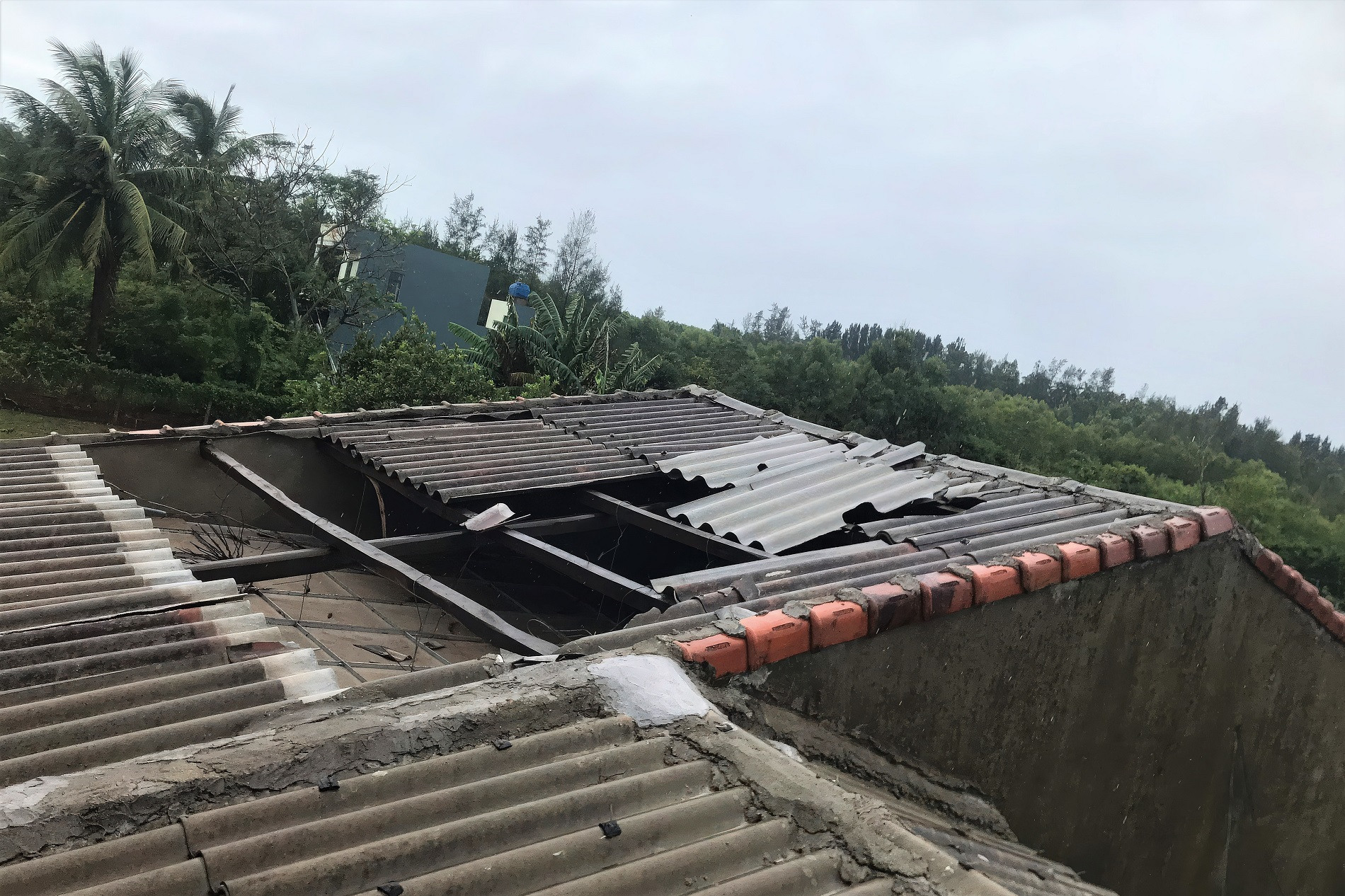 z5842770865968_321f93c98c829fb1b12c73f3669bab40 gigapixel standard v2 2x.jpeg