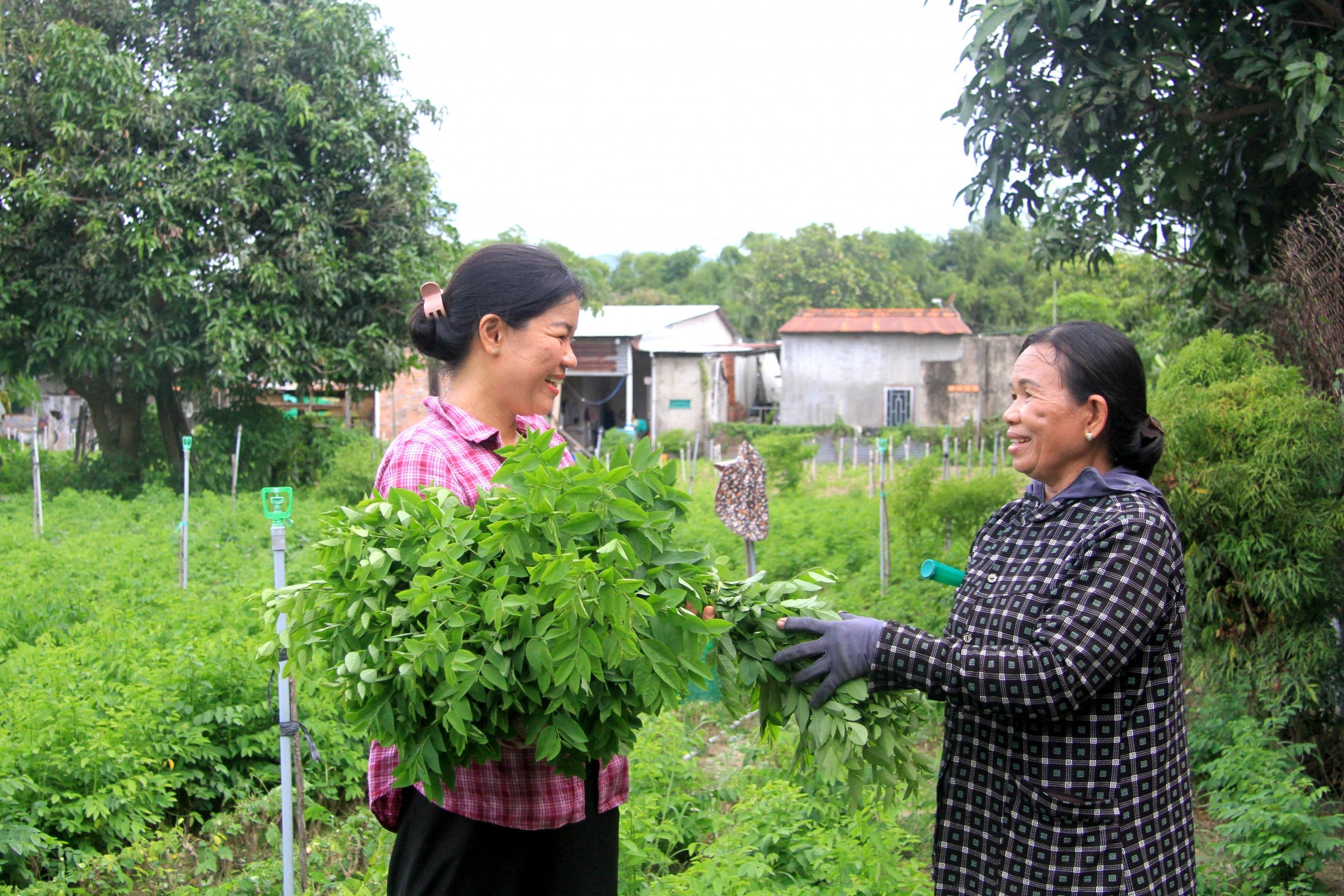 Cam Lâm tháo gỡ khó khăn, thúc đẩy về đích nông thôn mới