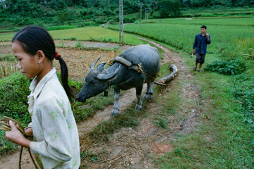 Trao sinh kế giúp đồng bào dân tộc thoát nghèo bền vững