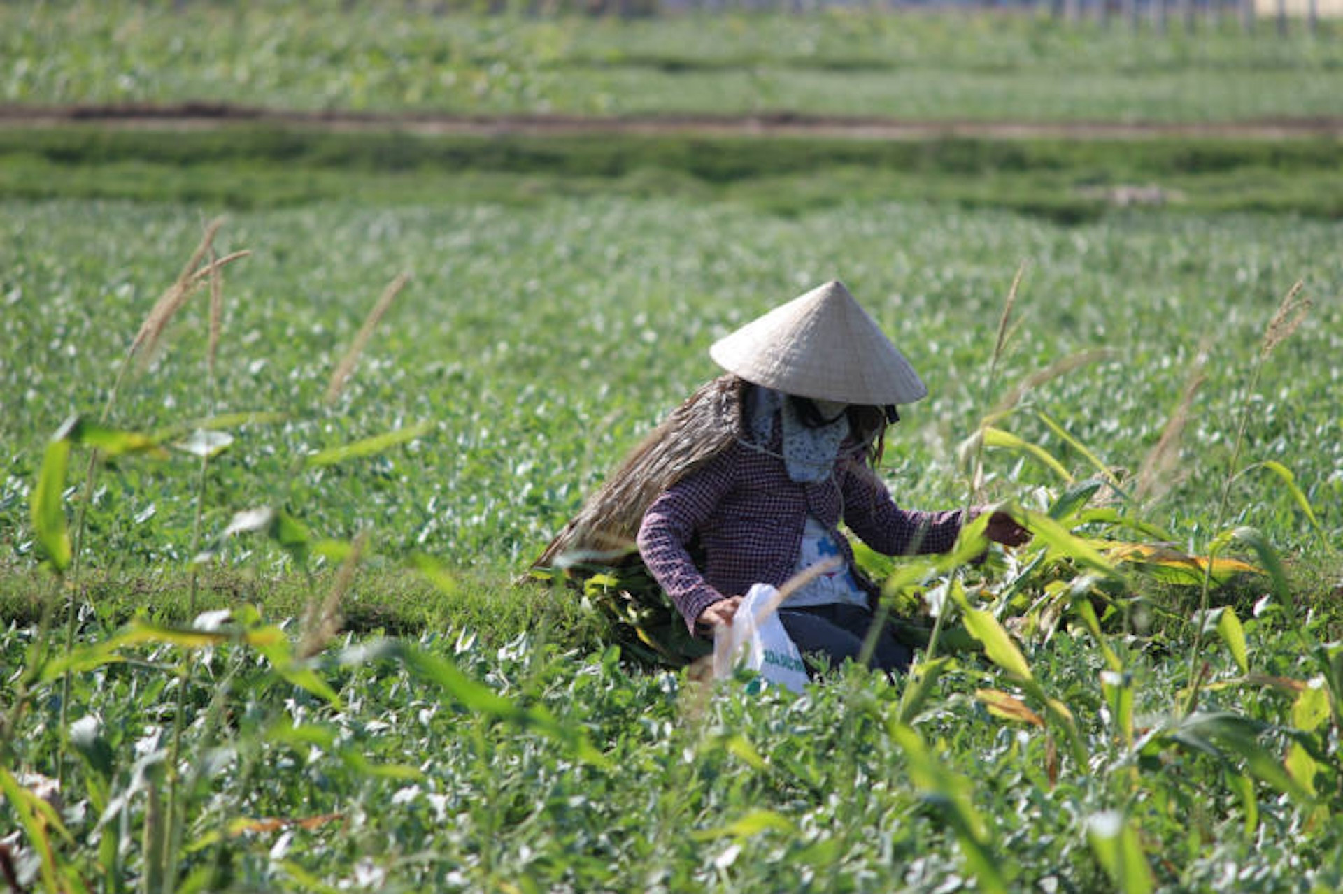 Hiệu quả từ mô hình giảm nghèo, dự án hỗ trợ phát triển sản xuất ở Hà Tĩnh