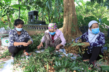 Hiện thực hoá ước mơ an cư của người nghèo, người có hoàn cảnh khó khăn