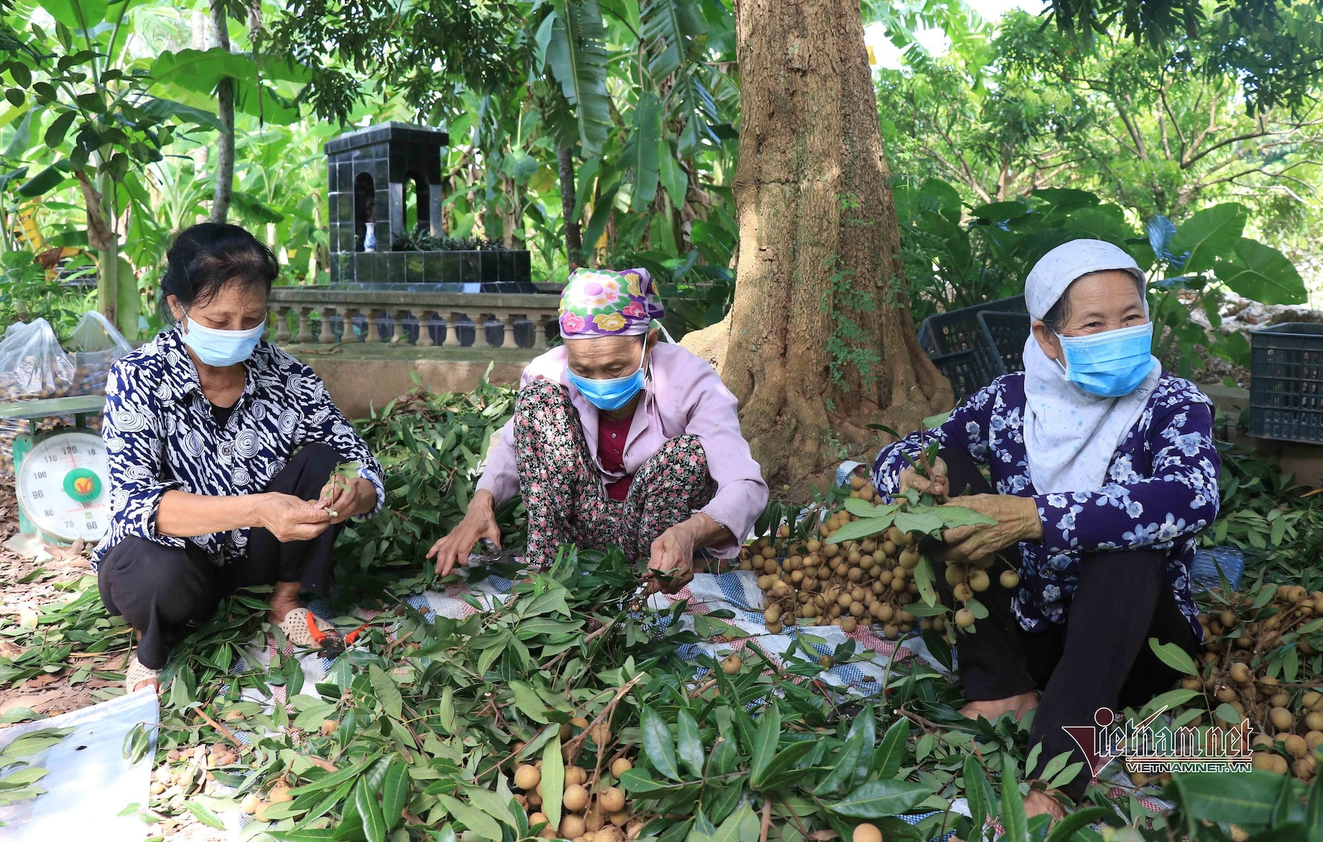 hung yen giam ngheo.jpg