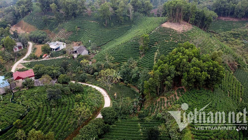 phu luong thai nguyen giam ngheo.jpeg