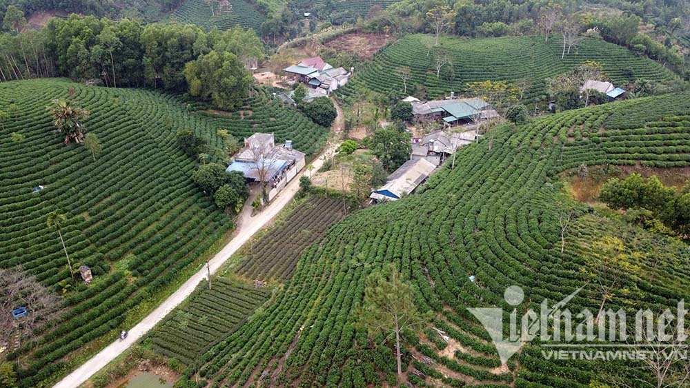 thai nguyen dong hy .jpeg