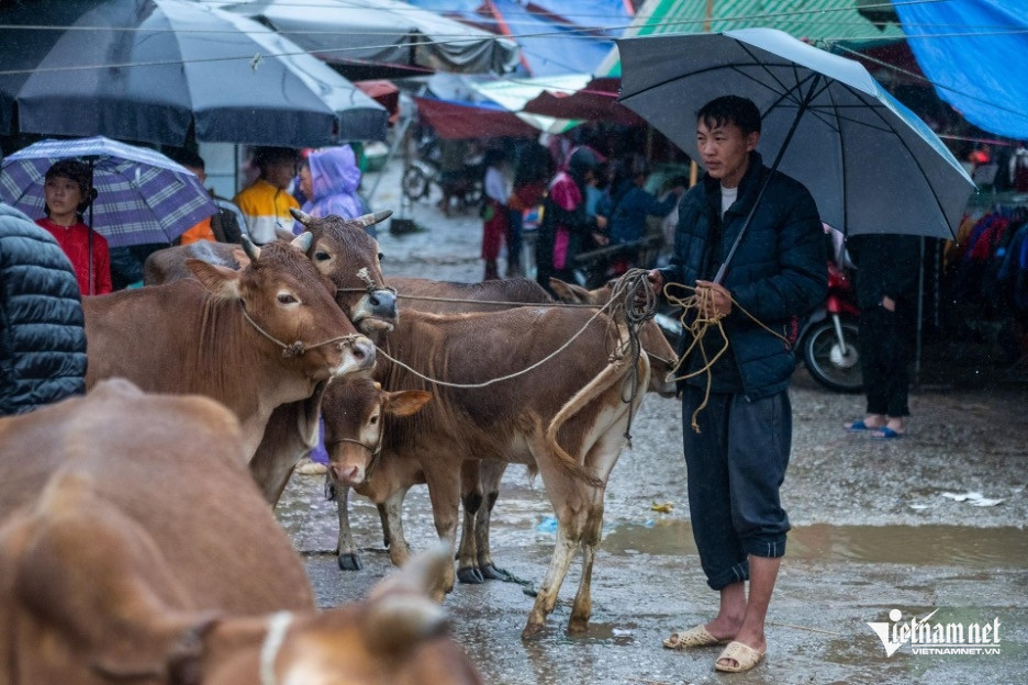 W-giam ngheo ta Den .jpg