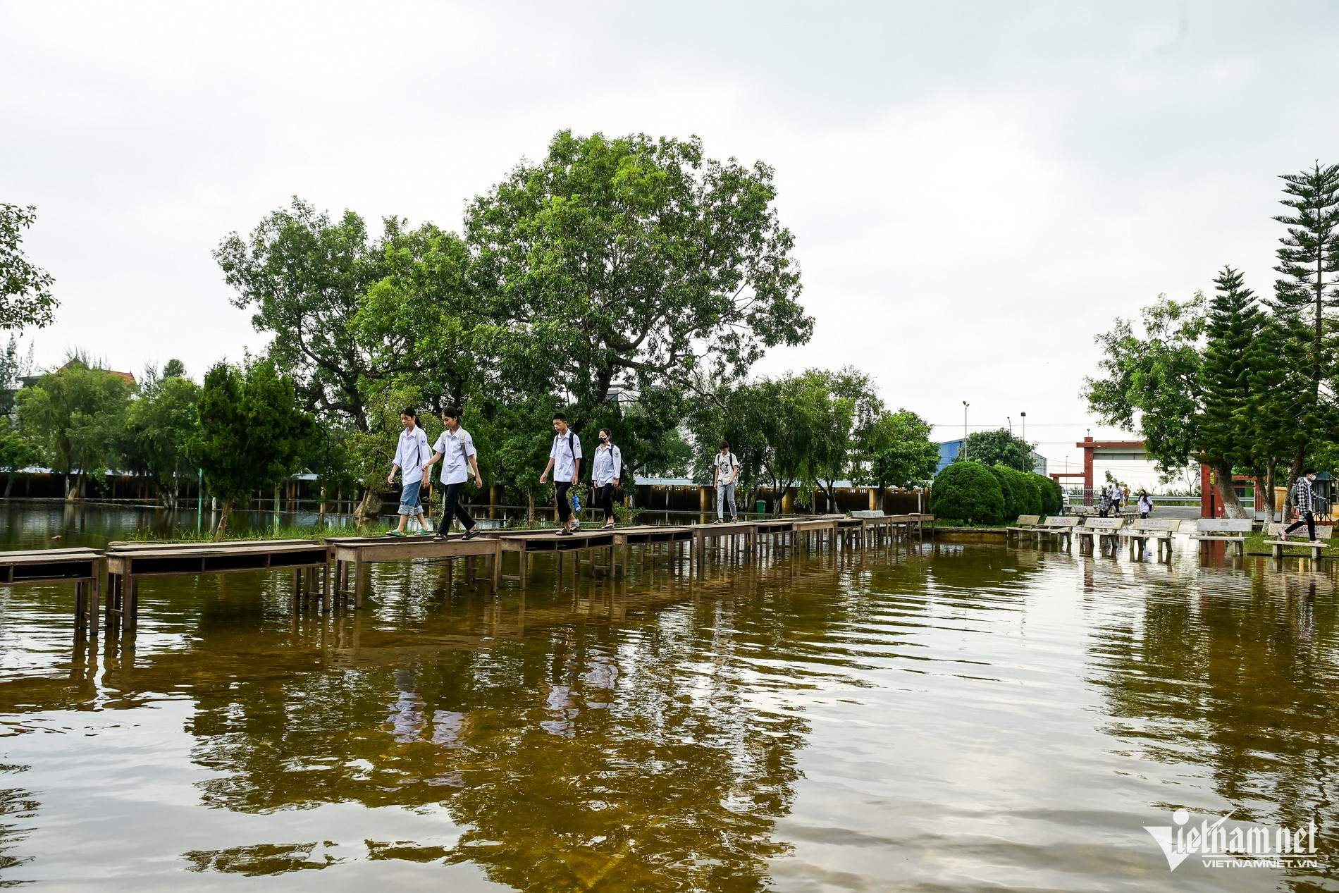 W-học sinh bắc cầu_3.jpg