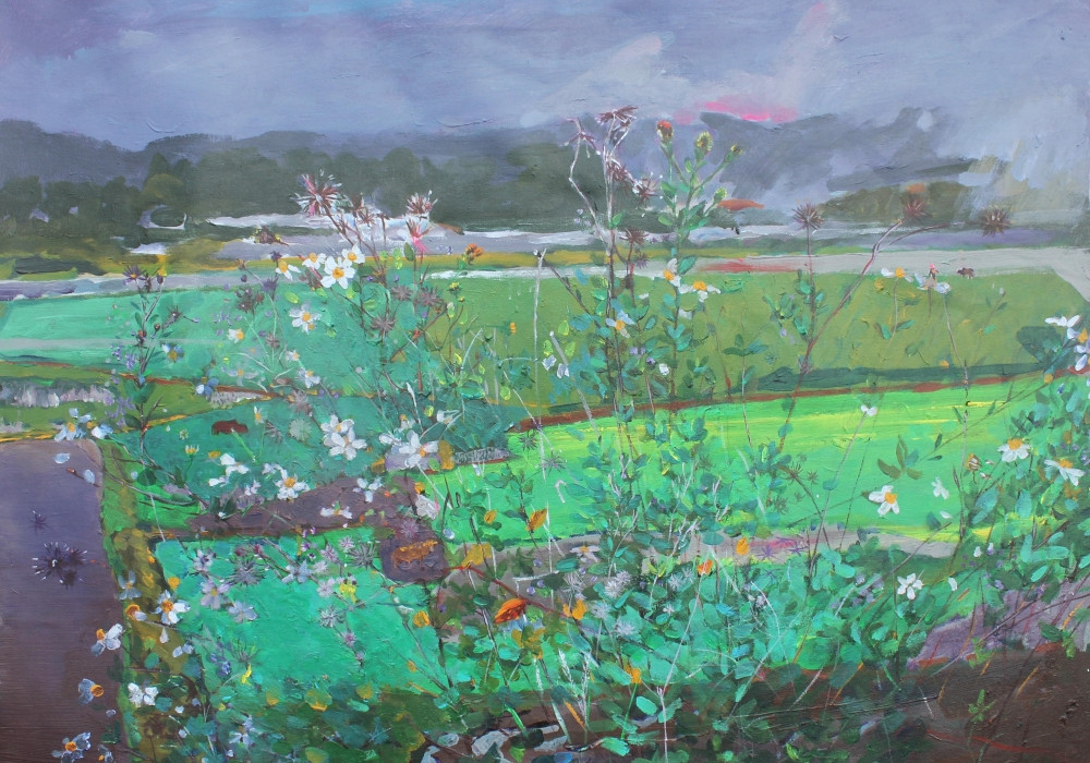 batch_Hoa xuyen chi Proh   Ha Van Chuc.jpg