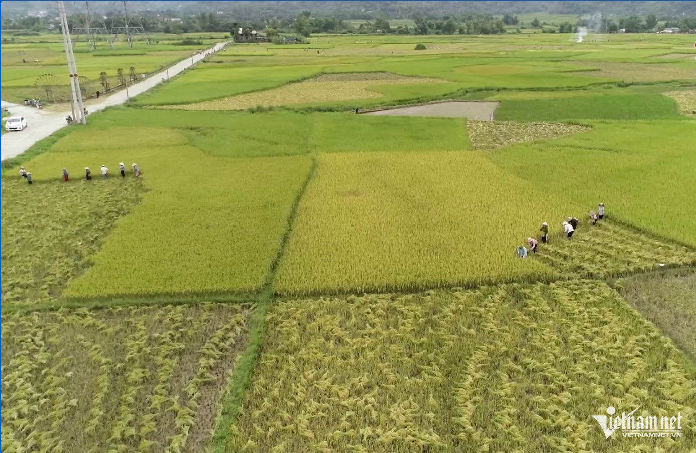 W-Ảnh màn hình 2024 09 21 lúc 21.09.10.png