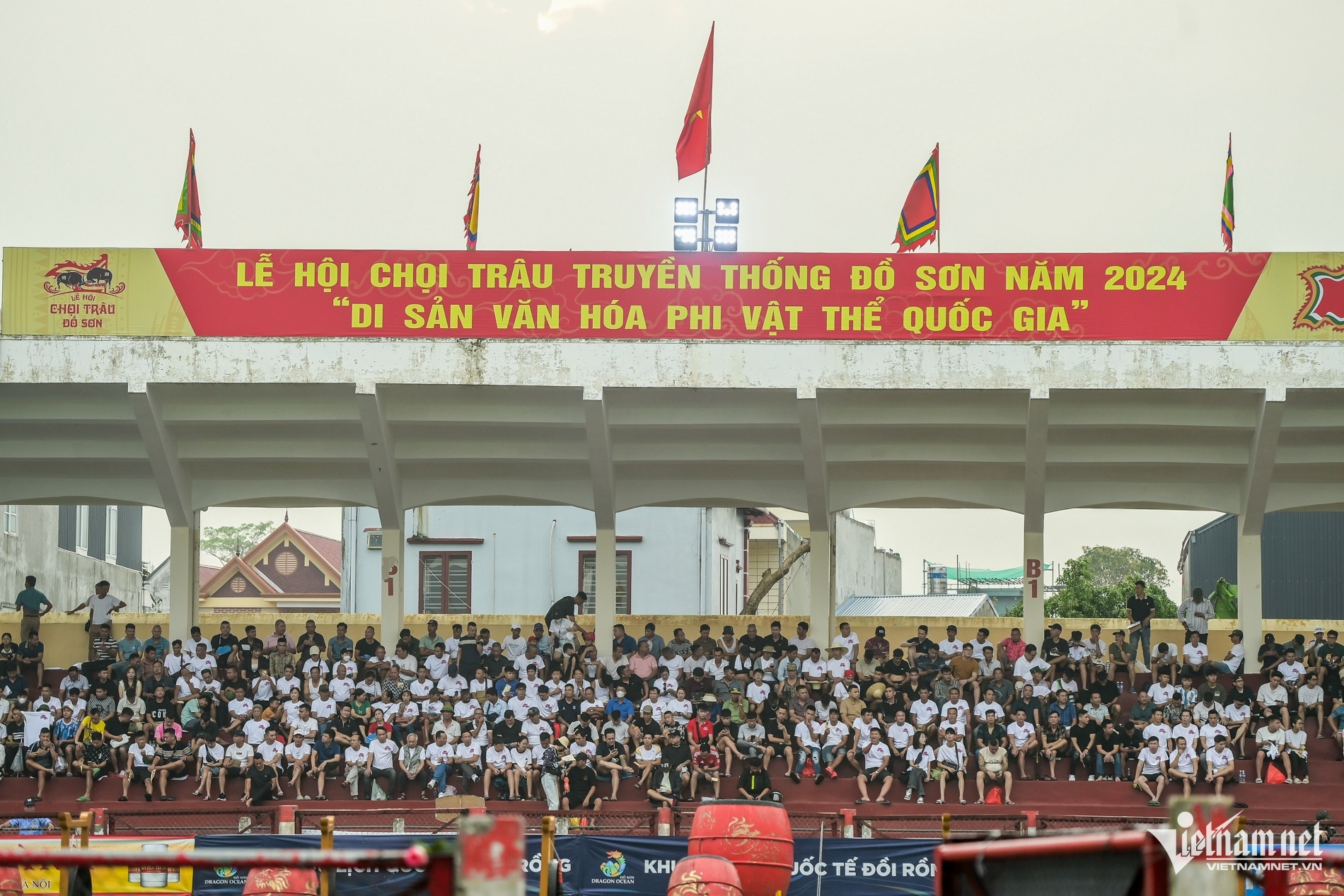 w choi trau do son 11 7603.jpg