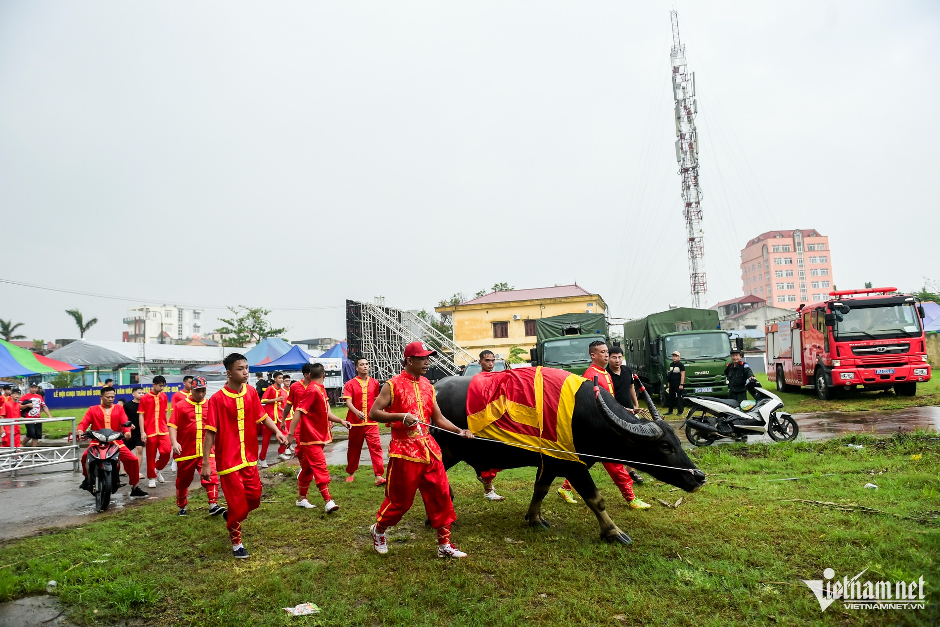 W-chọi trâu đồ sơn_8.jpg