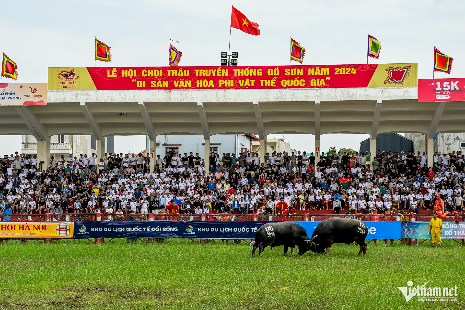 W-thi đấu chọi trâu đồ sơn_5.jpg