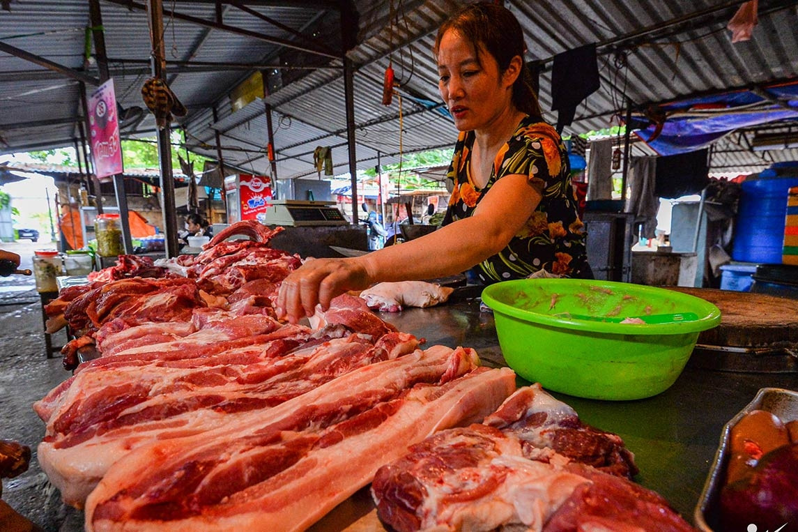 Giá thịt lợn lập đỉnh cao mới, chen chân mua thịt trâu chọi Đồ Sơn