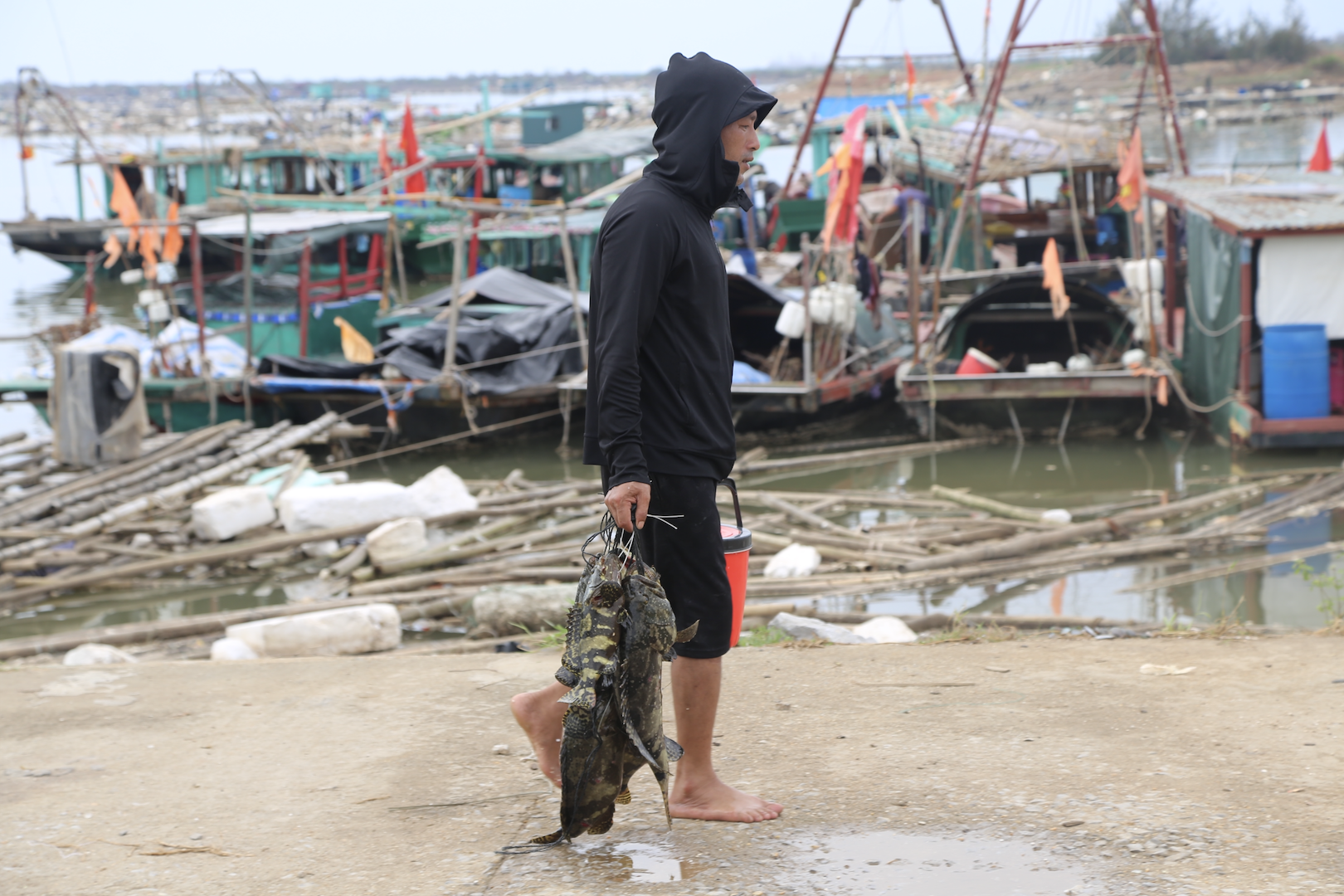 2. Bảo hiểm nông nghiệp: Phao cứu sinh cho nông dân.