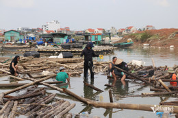 W-thuy san Quang yen.png