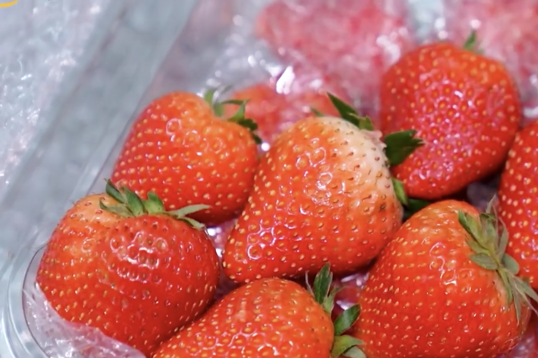 Sơn La: Đẩy mạnh xây dựng cơ sở dữ liệu về mã số vùng trồng trên toàn tỉnh