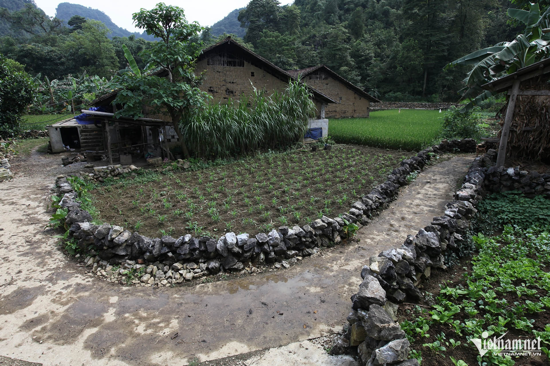 W-nha o giam ngheo.jpg