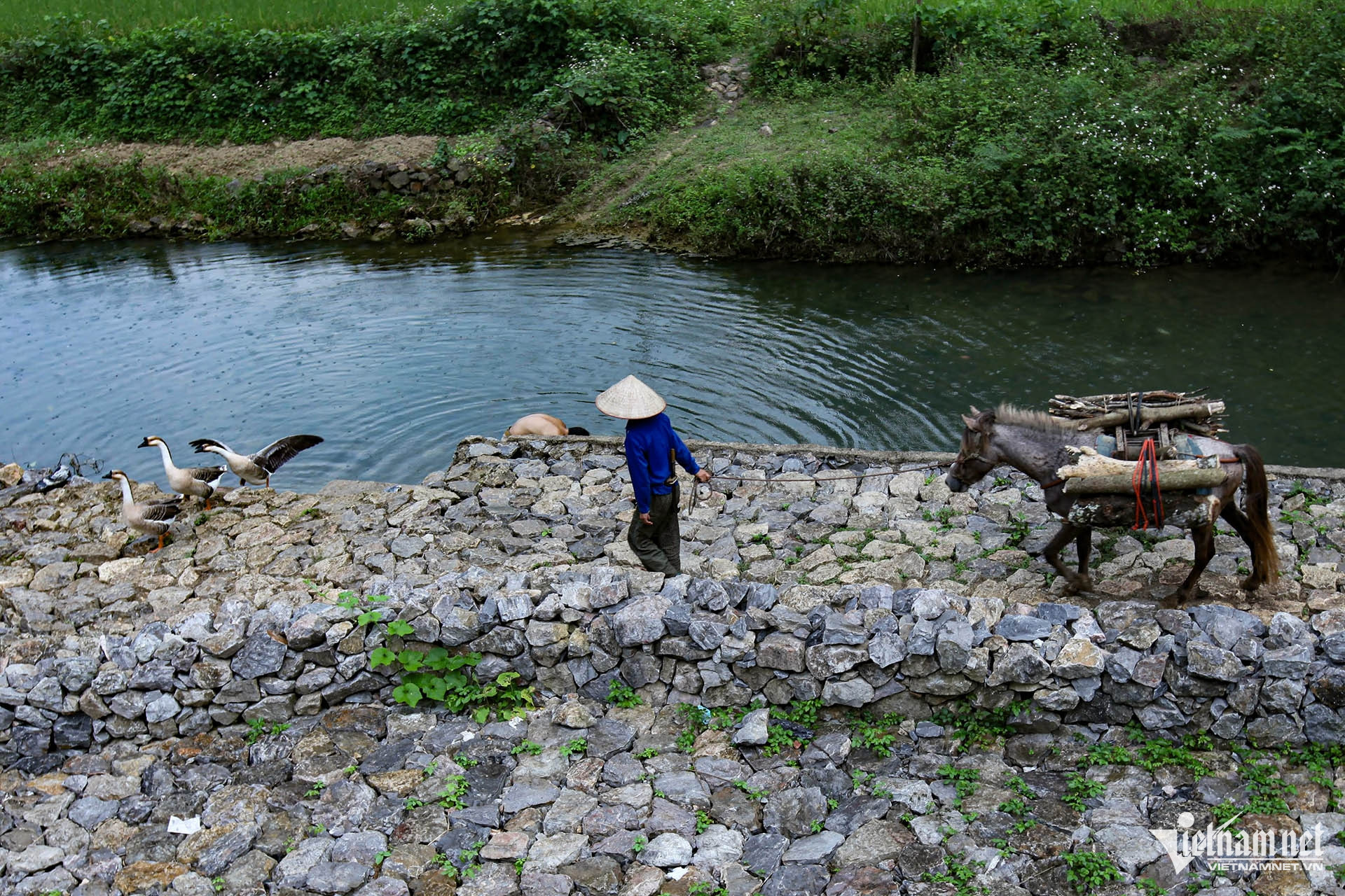 W-nong thon mien nui.jpg