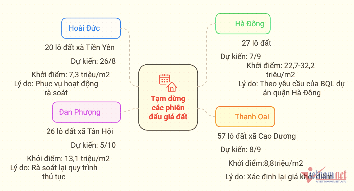 W-tạm dừng đấu giá đất vietnamnet.png