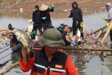 Nghìn tỷ bị bão cuốn bay, bảo hiểm nông nghiệp ở đâu?