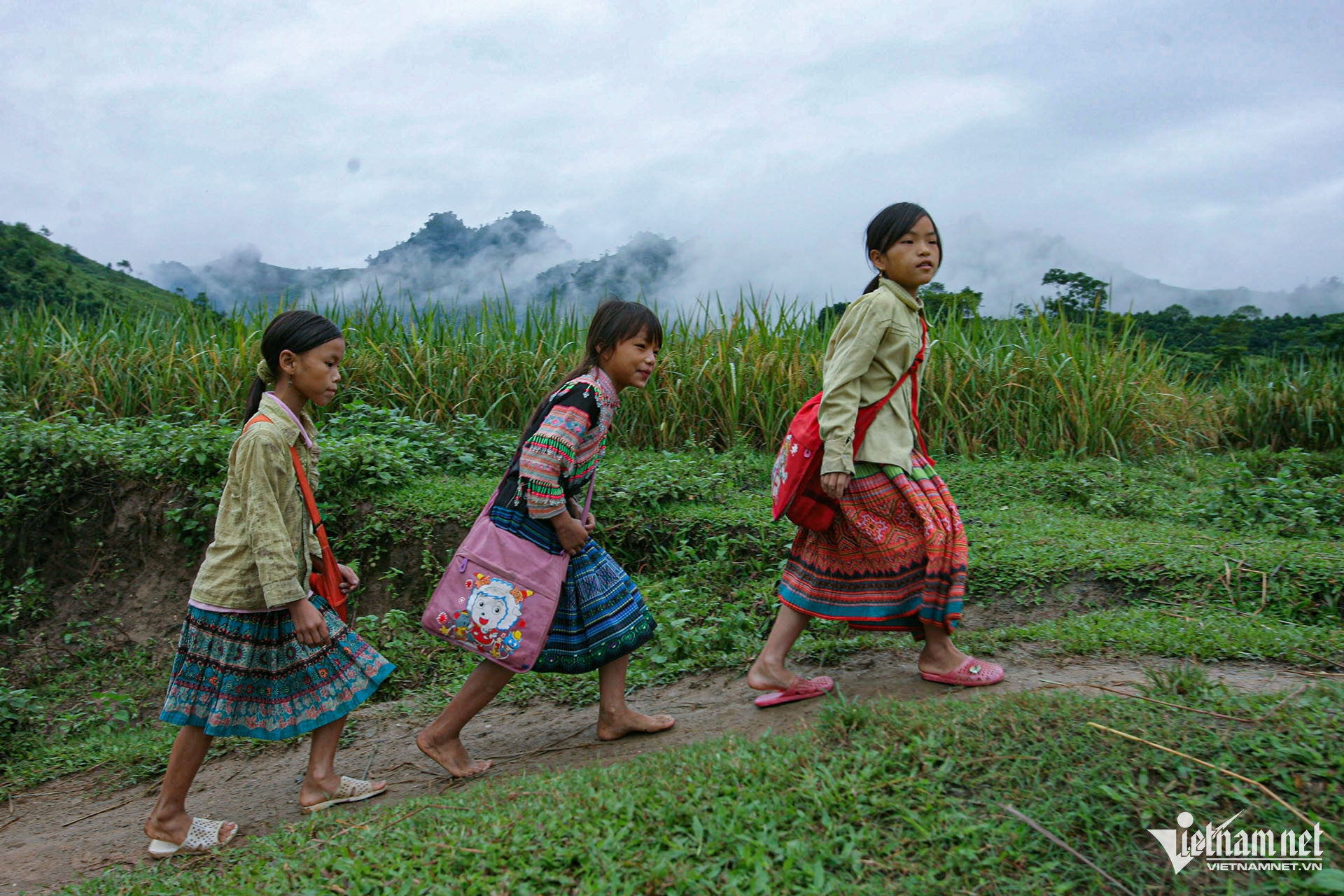 W-giam ngheo di hoc mien nui.jpg