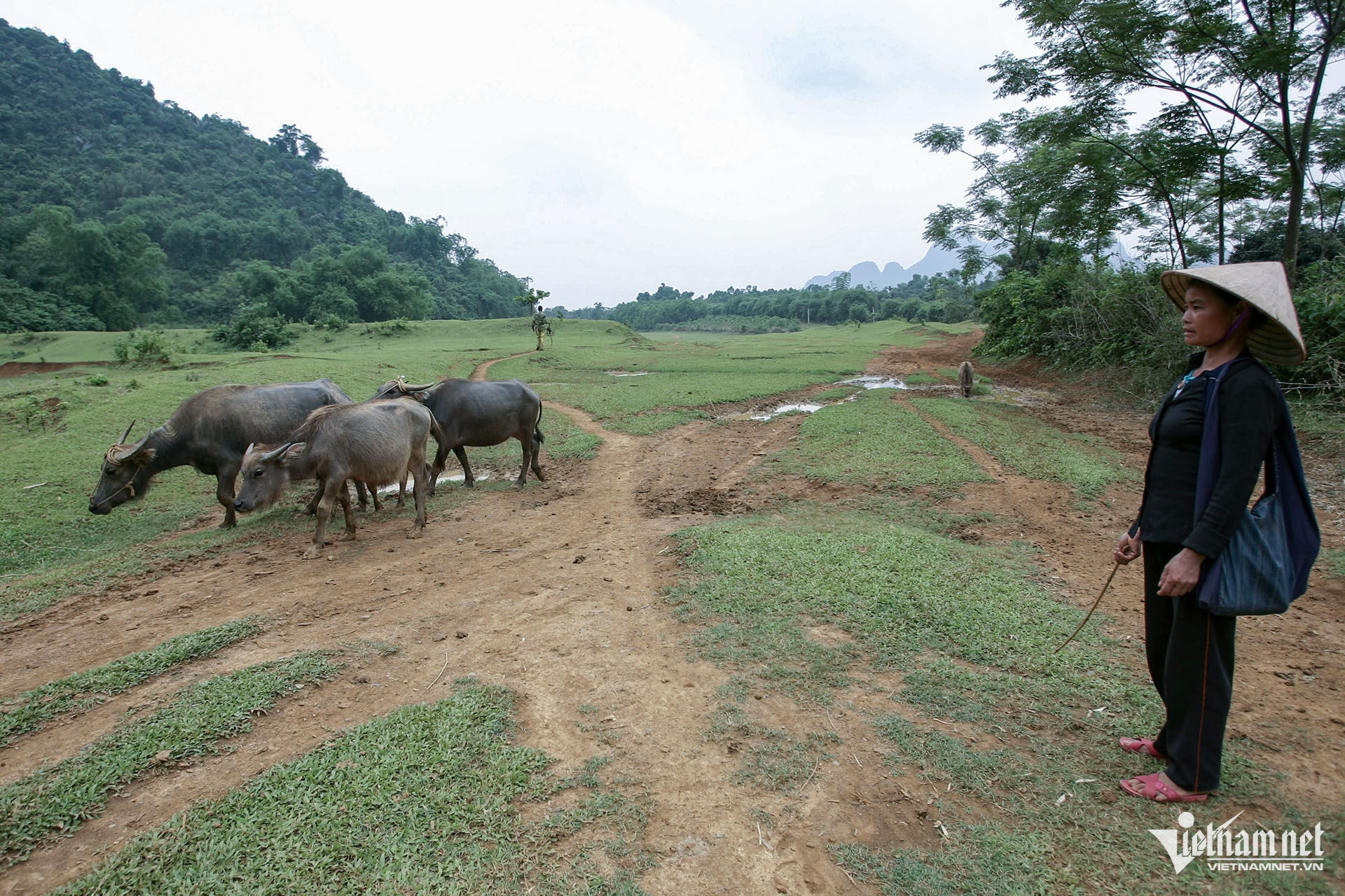 W-giam ngheo nong thon.jpg