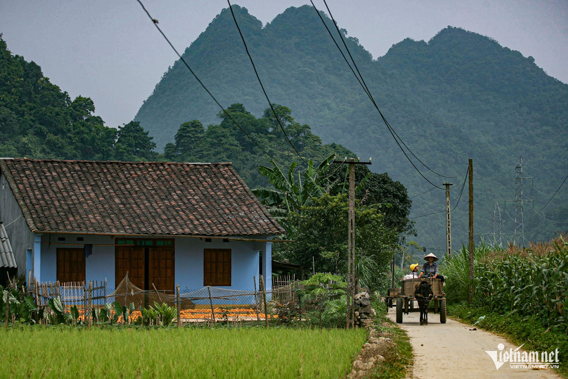 W-nha o nong thon.jpg