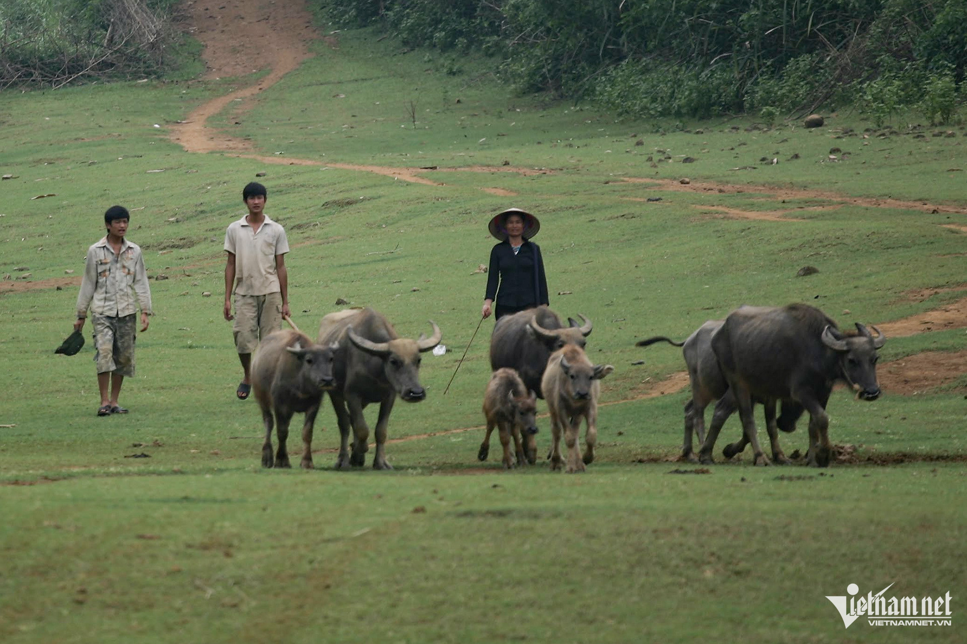 W-nong thon giam ngheo.jpg