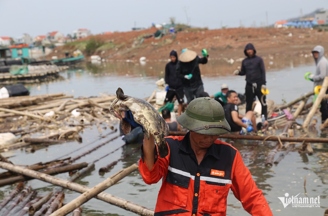 1. Bảo hiểm nông nghiệp: Phao cứu sinh cho nông dân.