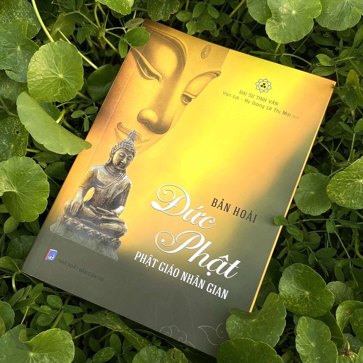 Anh sach Ban hoai 1.jpg