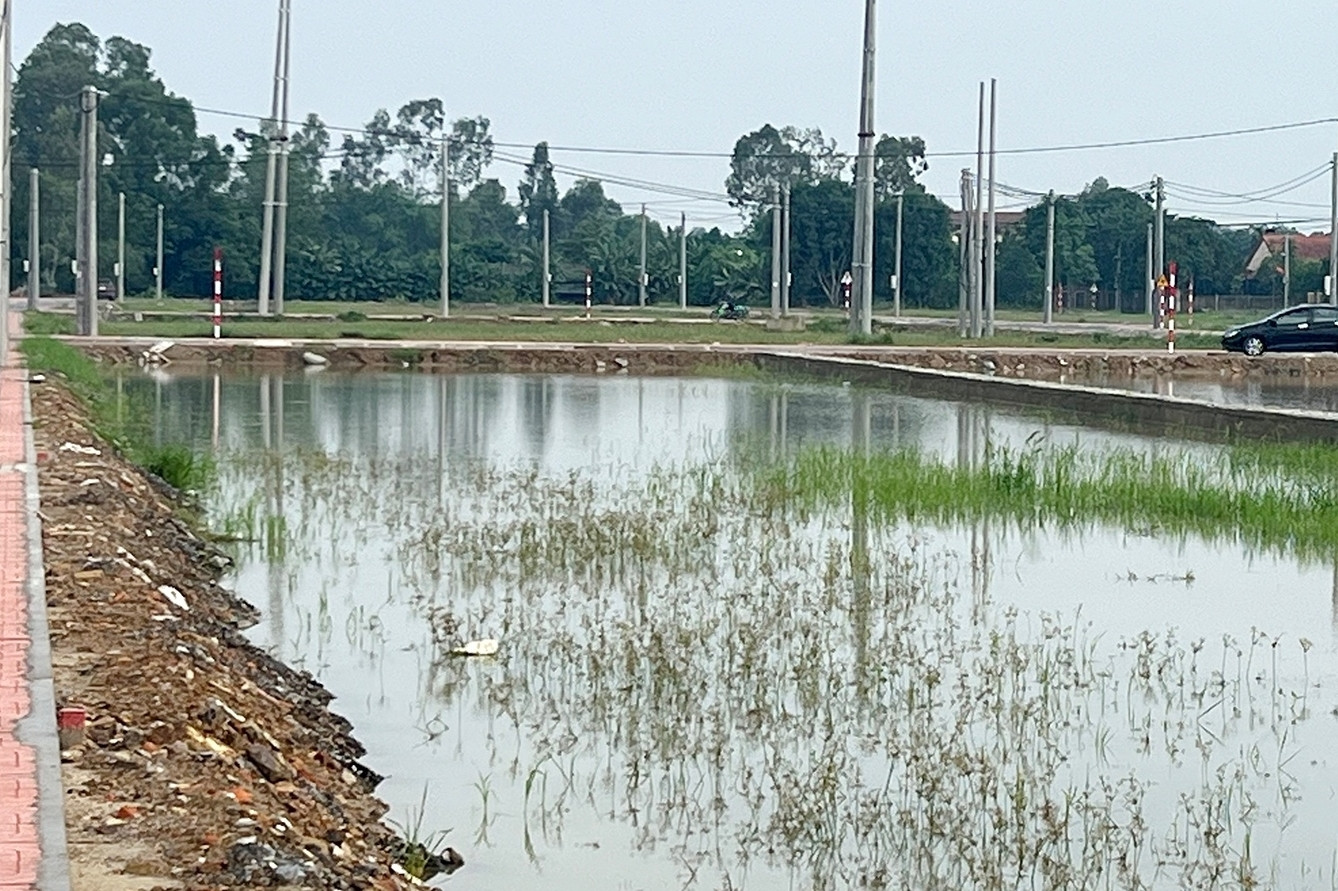 Đấu giá đất ven đại lộ Vinh - Cửa Lò: Tìm ra người trúng từ phong bì thất lạc